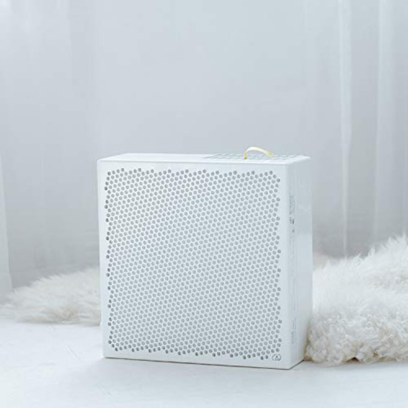 Purificateur d'air pour 100