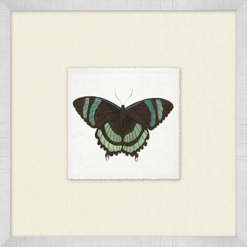 Miniature Butterfly Collection 14 Print