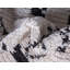 Tapis ivoire Idun-726417739