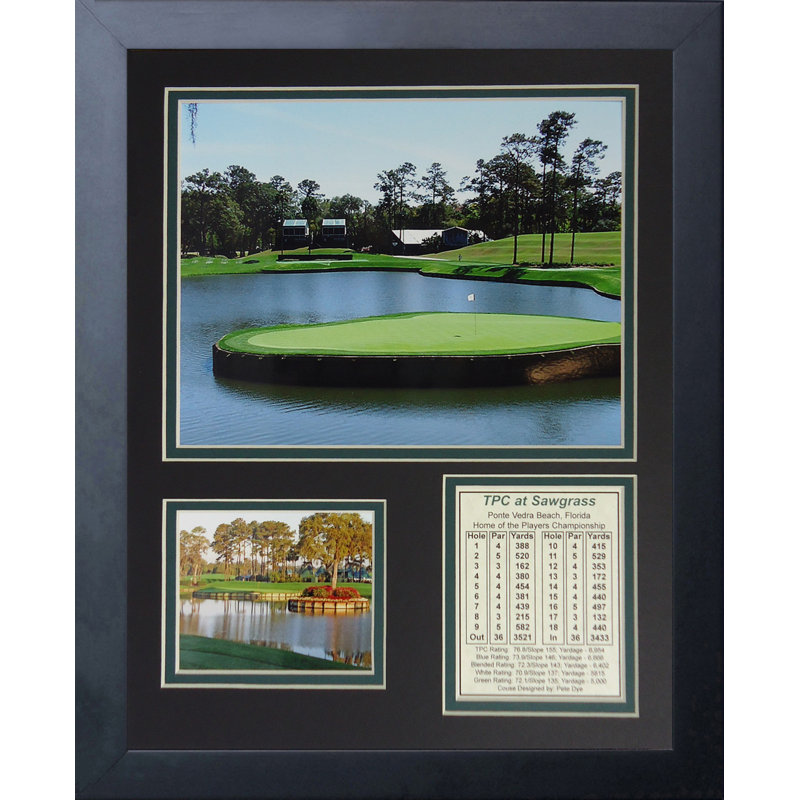 " TPC Sawgrass Hole #17 "