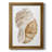 " Seashell I "-1830746210