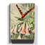 Vintage Comet Hummingbird by Wilhelm Kuhnert - Wrapped Canvas-19091856