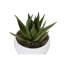 Plante artificielle-1214834763