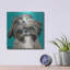 «Girly Shih Tzu» par Carolee Vitaletti-1369569383