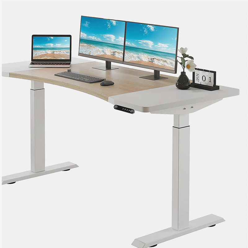 Bureau électrique debout à hauteur réglable 63 po x 30 po à deux moteurs Curve, Chêne blanc/blanc