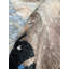 Abstract Area Rug