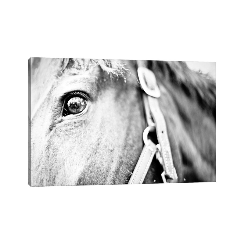 Horseback Riding by Susan Bryant - Wrapped Canvas Gallery-Wrapped Canvas Giclée, 20.32cm H x 30.48cm W
