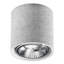 Keshundra Flush Mount-1525895042