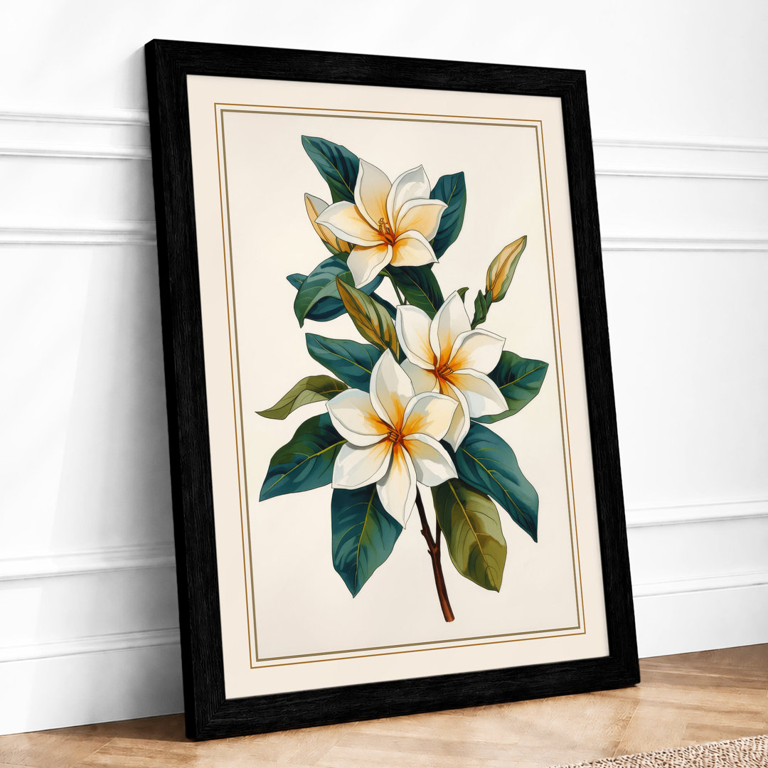Study Botanical Framed Art Print