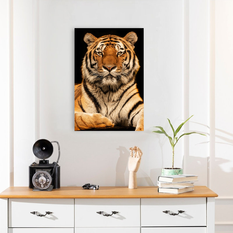 Majestic Tiger Portrait Contemporary Cat Tiger Wall Art Print 1 Piece Wrapped Canvas Wall Art, 60.96cm H x 40.64cm W