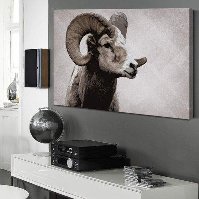 Animals " Ram Portrait On Graphite Background Animals Wilderness "