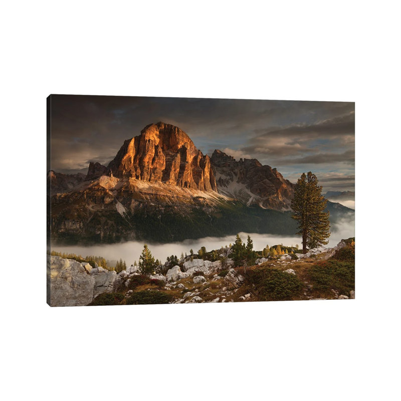 Tofana De Rozes by Daniel Řeřicha - Wrapped Canvas Print, 66.04 cm H x 45.72 cm W x 1.91 cm D