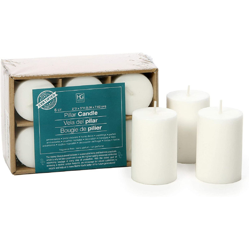 Hosley 2x3 High Pillar Candles, Set of 6. White, Unscented. Bulk Buy. Ideal for Wedding, Emergency Lanterns, Spa, Aromatherapy, Party, Reiki, Candle Gardens
