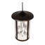 Fulton 8 - Light Chandelier
