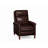Aniv Recliner