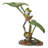 Lotus Leaf with Red-Eyed Tree Frog