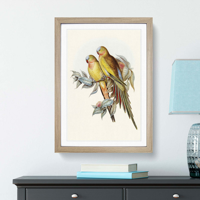 Princess of Wales's Parakeets by Elizabeth Gould - Picture Frame Painting Print, 65cm H x 48cm W x 2cm D, Oak Framed