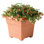 Jardinières en pot