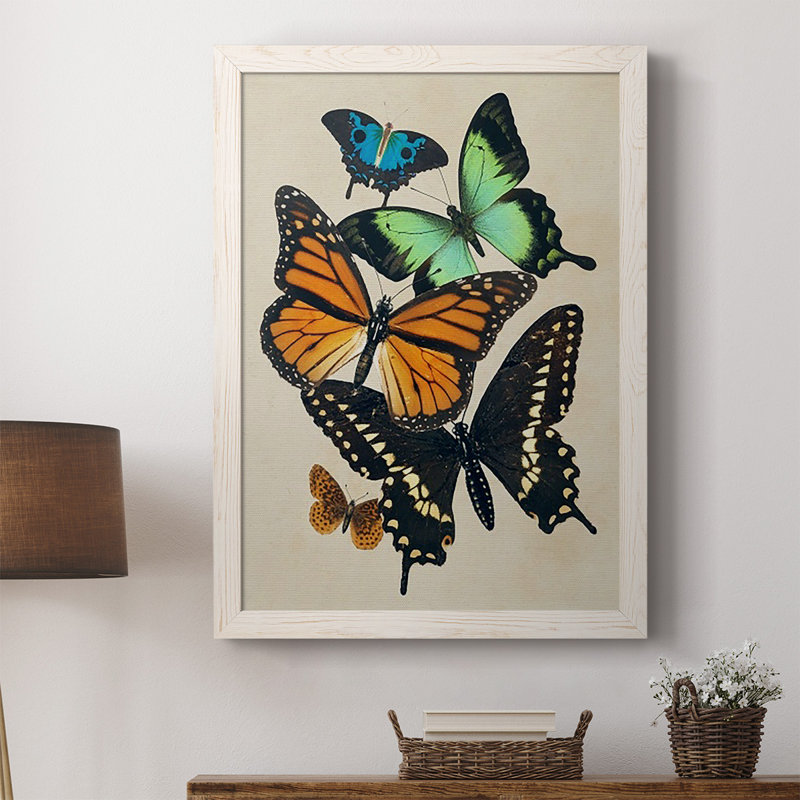 «Ellzey Collage Butterflies I», reproduction d'art sur toile, Cadre blanc, H 43,5 po x l 31,5 po x P 1 po