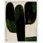 Succulent #1 Print by StudioM-227991711-227991718