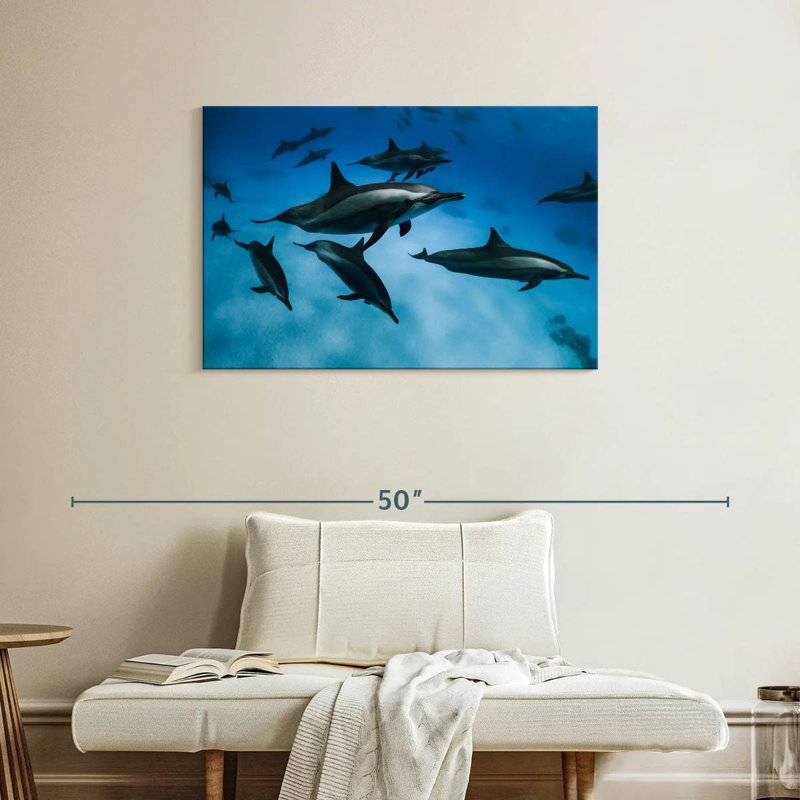 Crowle Striped Dolphins, 24" H x 36" W