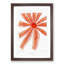 Starfish by Albert I - Framed Print-55615798-55615800