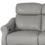 Hongyi Recliner-15252628