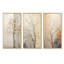 «Beige Trees Oak Solitude», ensemble de 3 reproductions d'art mural-2861339-2861343