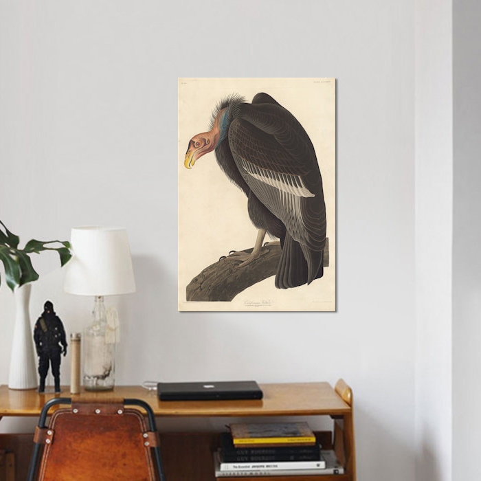 « californian vulture », impression sur toile, H 26 po x l 18 po x P 1,5 po, Toile tendue, Non mat