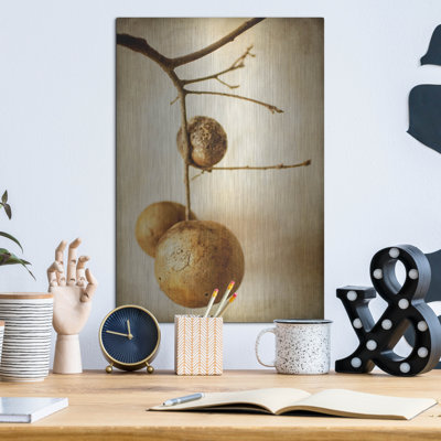 " Oak Pods 1 " Print