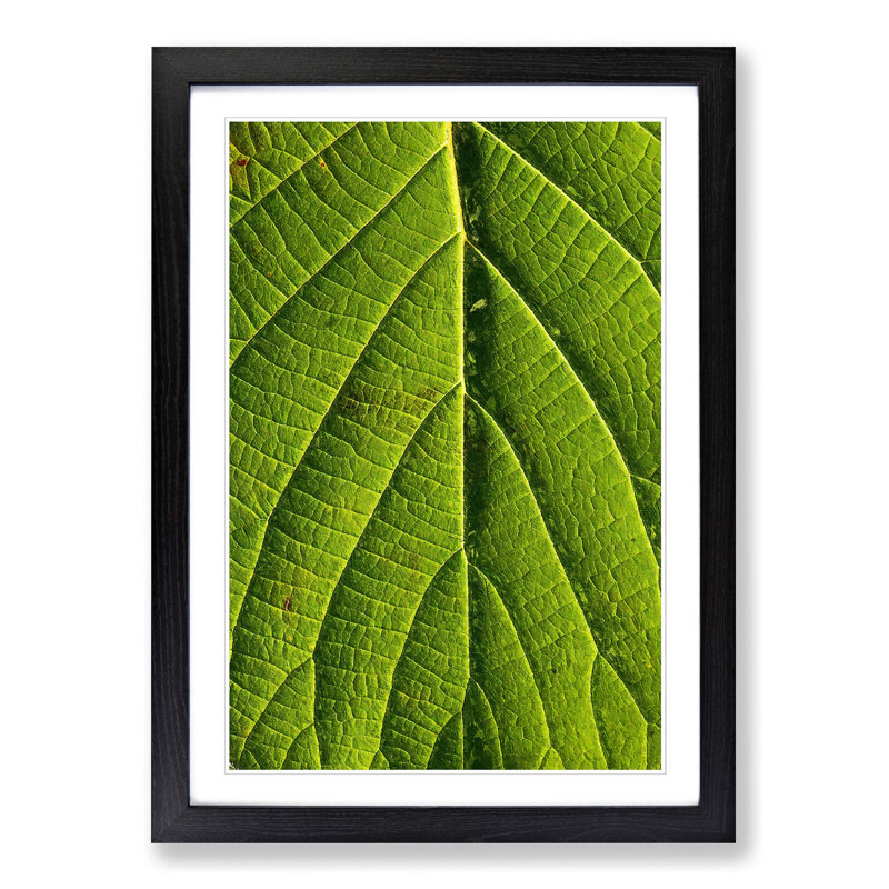 Leaf Pathways - Picture Frame Painting Print, 48cm H x 36cm W x 2cm D, Black Framed