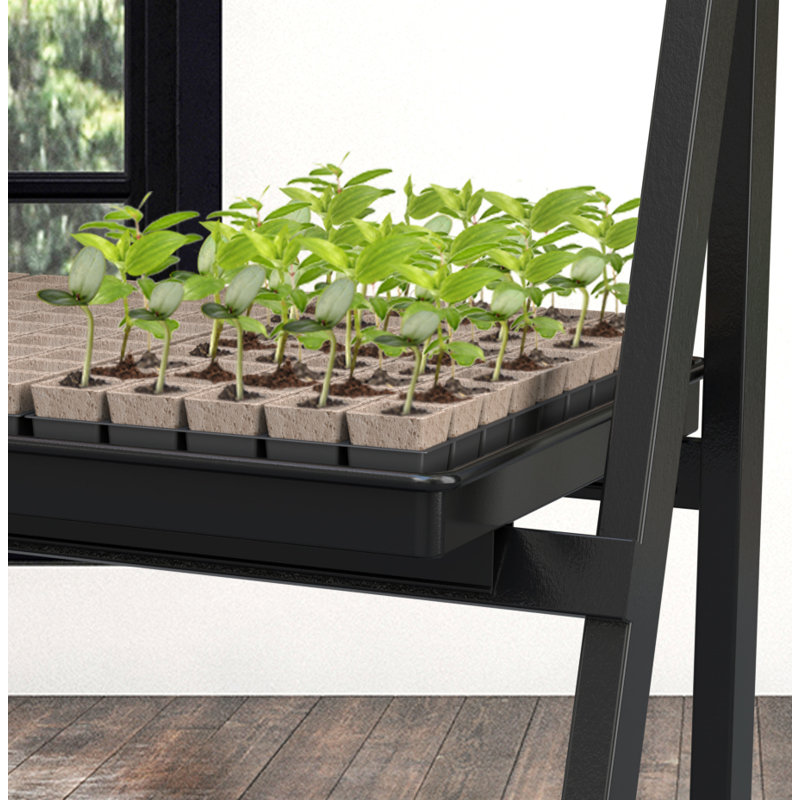 Achyut Plant Stand 3 Tier