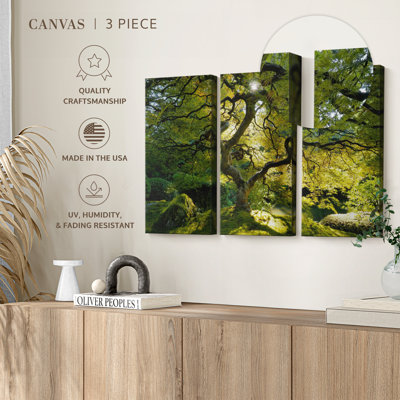 Nature, «Japanese Maple Garden Canvas Print» sur