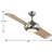 Edisto 54'' Ceiling Fan with LED Lights-438944833