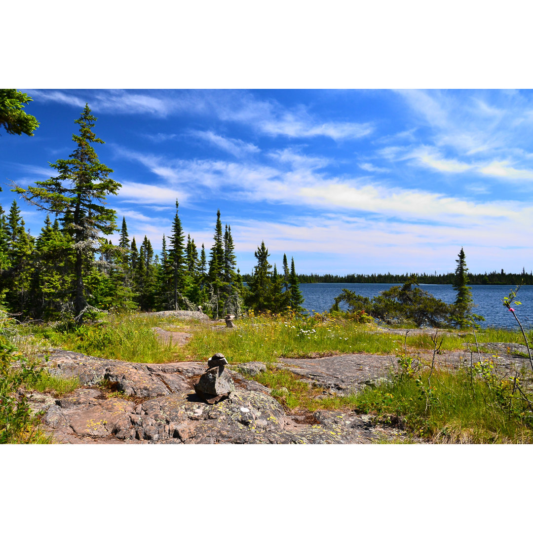 Isle Royale Wanderweg von Jtstewart - Leinwandbild