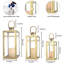 3-Bulb 48" H Outdoor Lantern