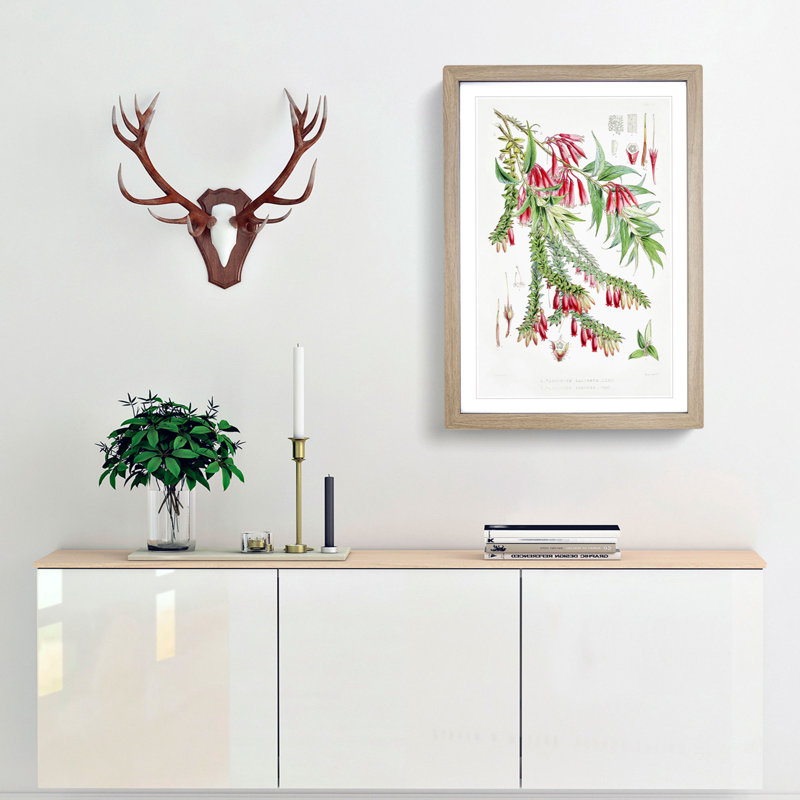 Himalayan Plants XV by W. H. Fitch - Picture Frame Painting Print, 36cm H x 27cm W x 2cm D, Oak Framed