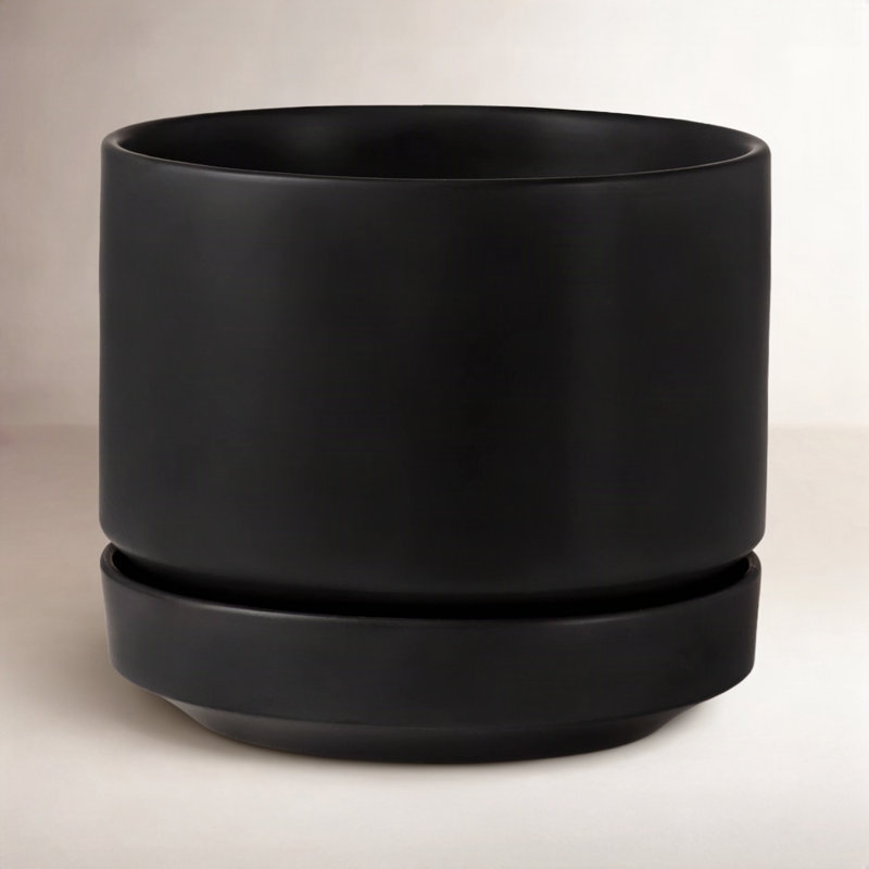 Byer Ceramic Pot Planter, 4.25" H x 5" W x 5" D, Black