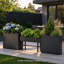 Jardinière surélevée en métal, séparateur de jardin pour terrasse extérieure