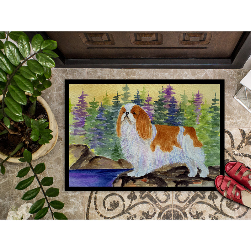 Non-Slip Indoor Doormat, Rectangle 2' x 3'