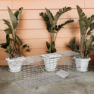 Cage à souris Felis