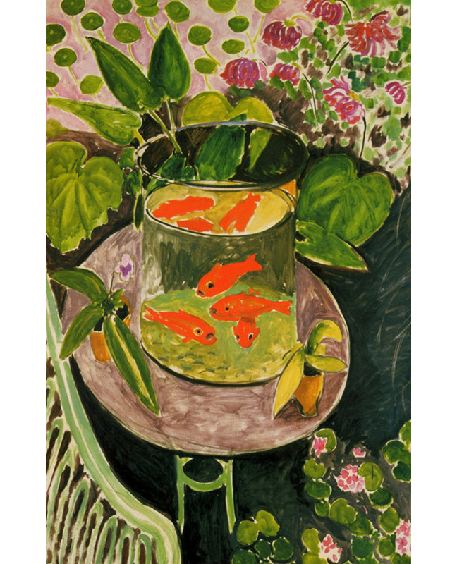 Goldfish