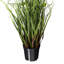 Herbe verte artificielle en pot et eucalyptus.-1411198754