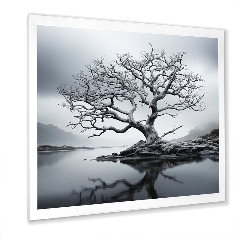 «Stormy Grays Tree Emotion» sur toile, Cadre simple blanc, H 24 po x l 24 po x P 1 po