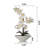 Orchid Arrangement in Pot