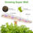 LINKSTYLE CHLORA Smart Herb Garden Planter