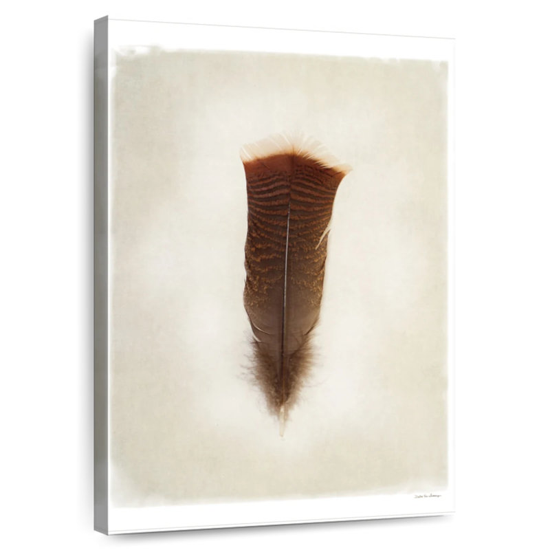 Feather III, 30" H x 20" W