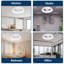 Ceiling Fan