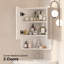 Sowmiya 45mm W 60mm H Medicine Cabinet Mirror 3 Fixed