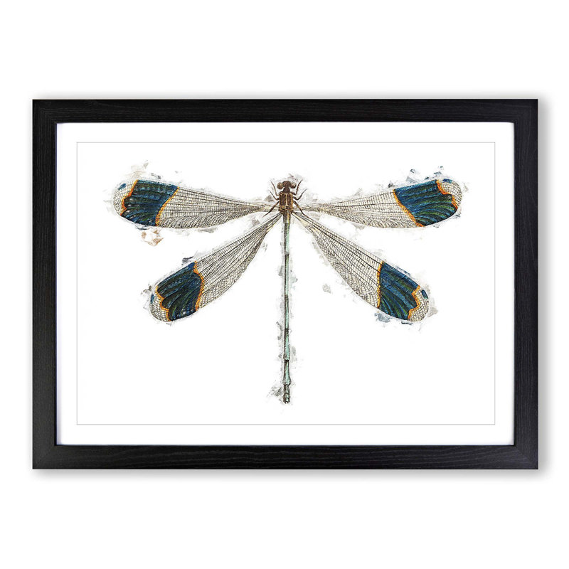 Blue Tipped Dragonfly by George Shaw - Picture Frame Painting Print on MDF, 48cm H x 65cm W x 2cm D, Black Framed